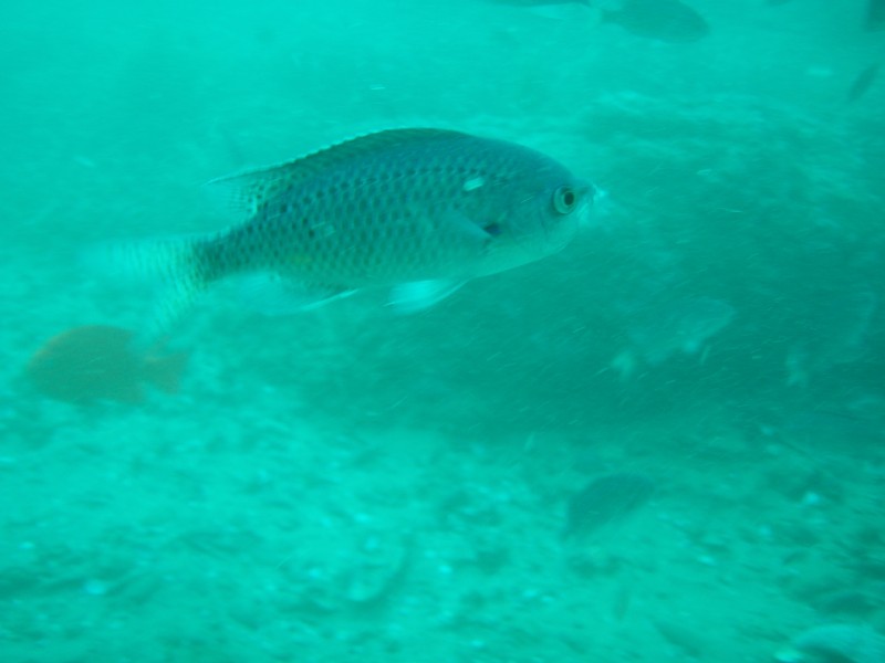 sm_p2240057.jpg