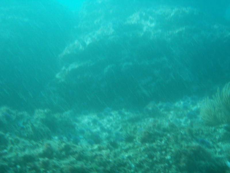 sm_p2240067.jpg