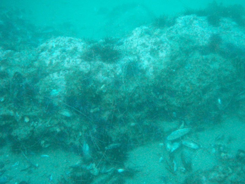 sm_p2240073.jpg