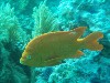 sm_p2240021.jpg