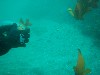 sm_p2240036.jpg