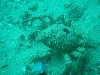 sm_p2240055.jpg