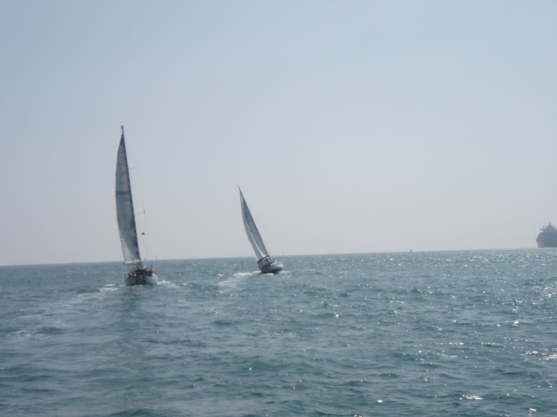 sm_p3100007.jpg