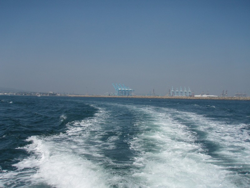 sm_p3100010.jpg