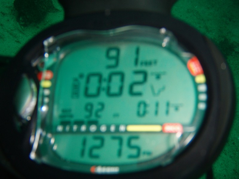 sm_p3100016.jpg