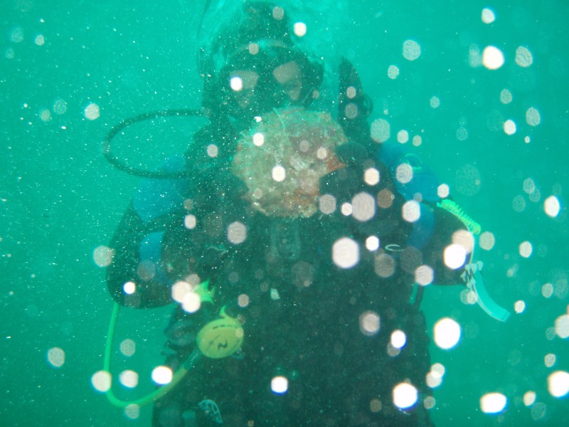 sm_p3100017.jpg
