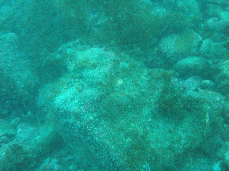 sm_p3100020.jpg