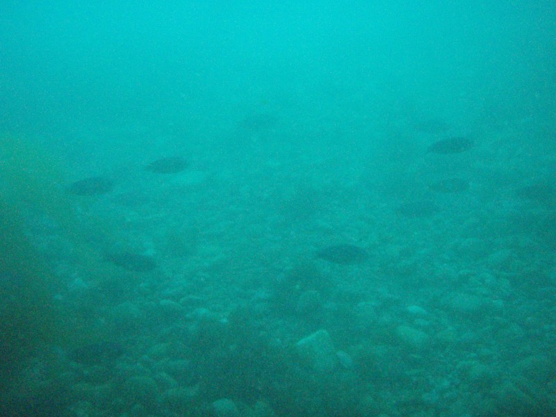 sm_p3100021.jpg
