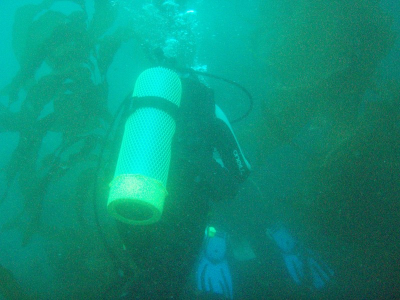 sm_p3100033.jpg