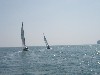 sm_p3100007.jpg