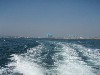 sm_p3100010.jpg