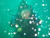 sm_p3100017.jpg