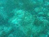 sm_p3100020.jpg