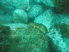 sm_p3100025.jpg