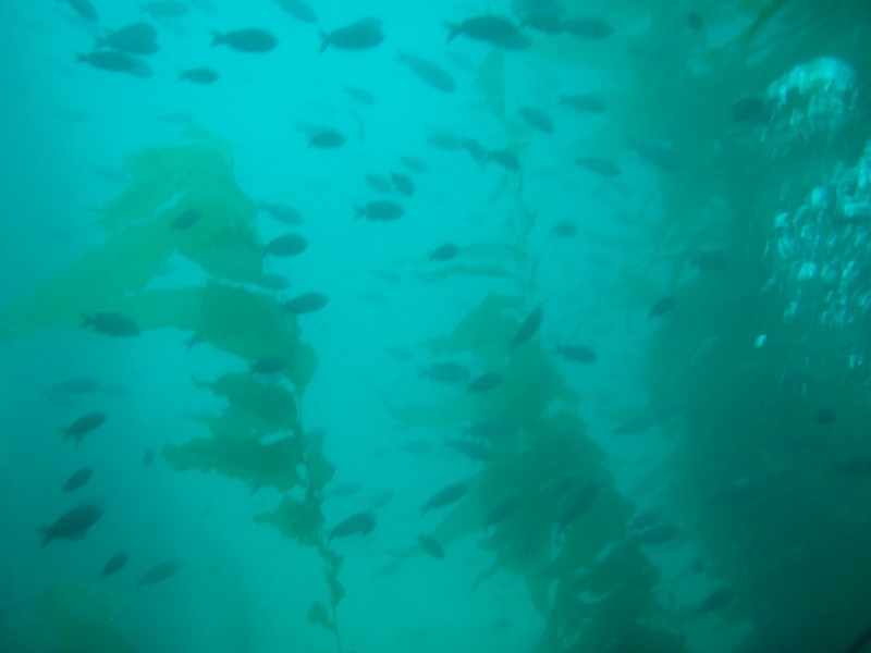 sm_p3110038.jpg
