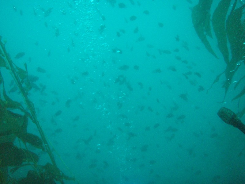 sm_p3110039.jpg