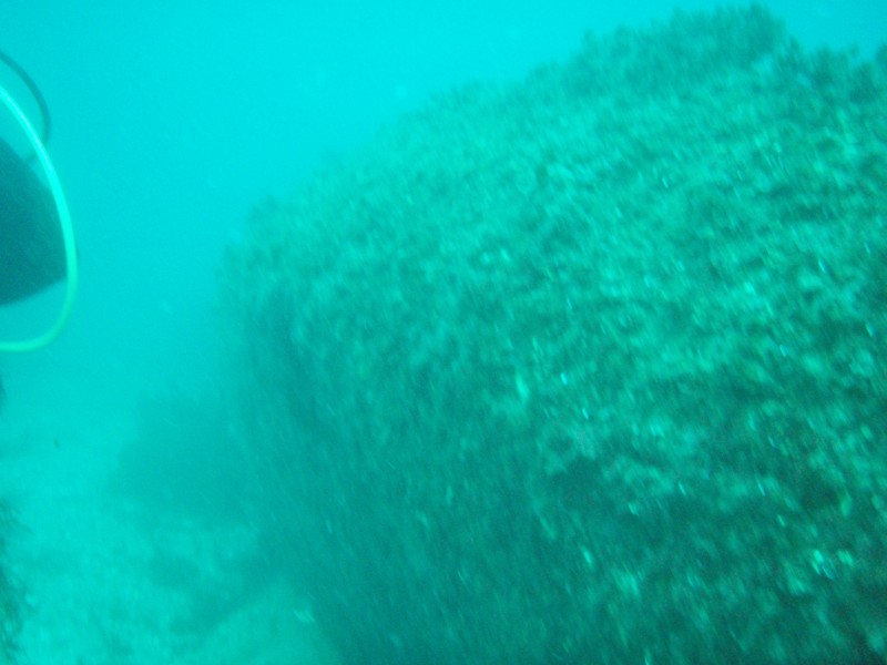 sm_p3110041.jpg