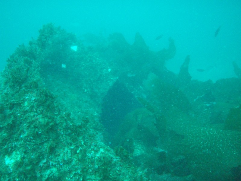 sm_p3110043.jpg