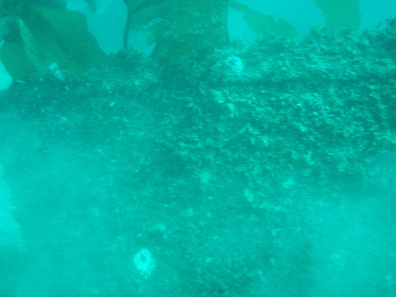 sm_p3110048.jpg