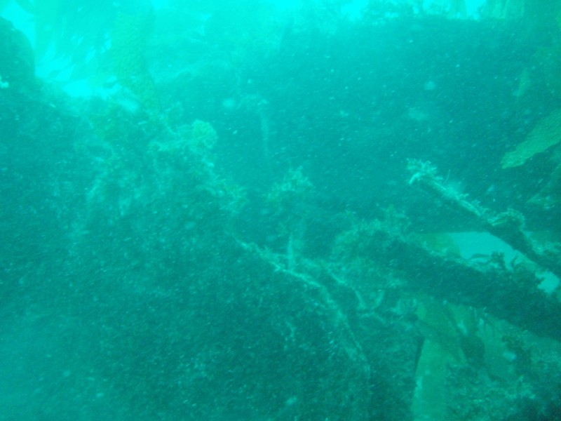 sm_p3110063.jpg