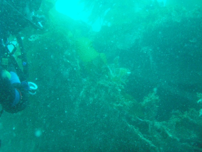sm_p3110064.jpg