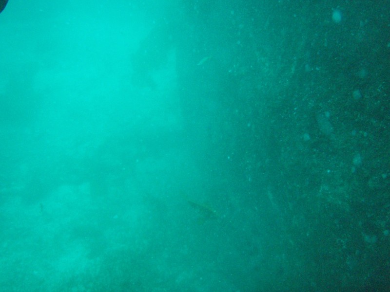 sm_p3110066.jpg