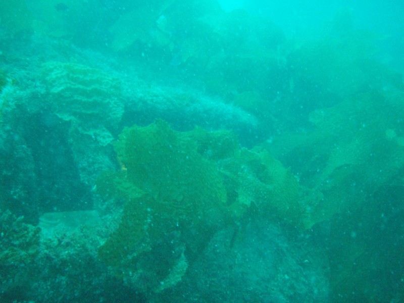sm_p3110067.jpg