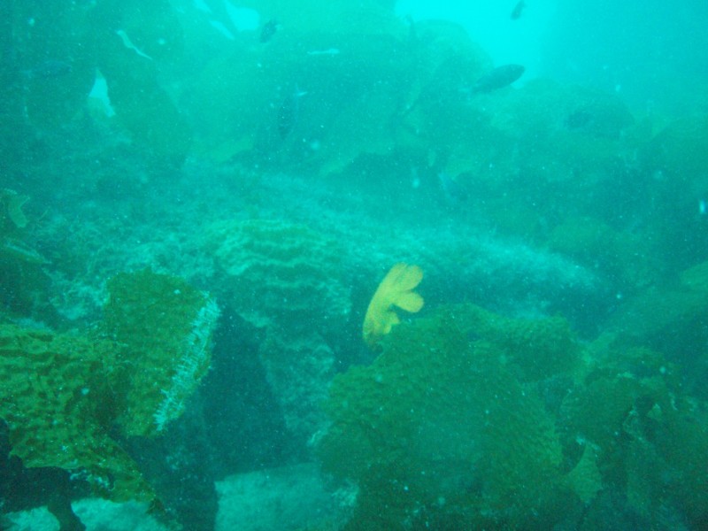 sm_p3110068.jpg