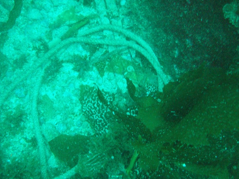 sm_p3110069.jpg