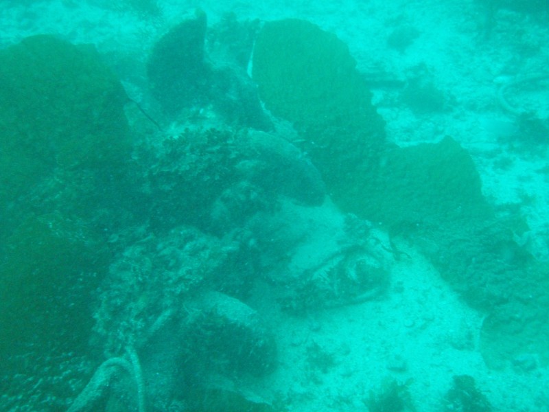 sm_p3110073.jpg
