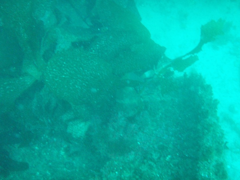 sm_p3110076.jpg