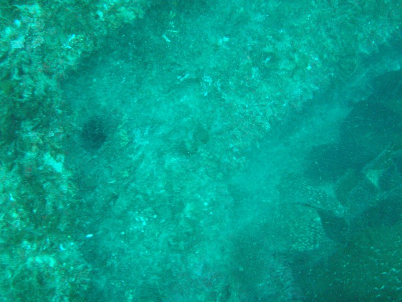 sm_p3110077.jpg