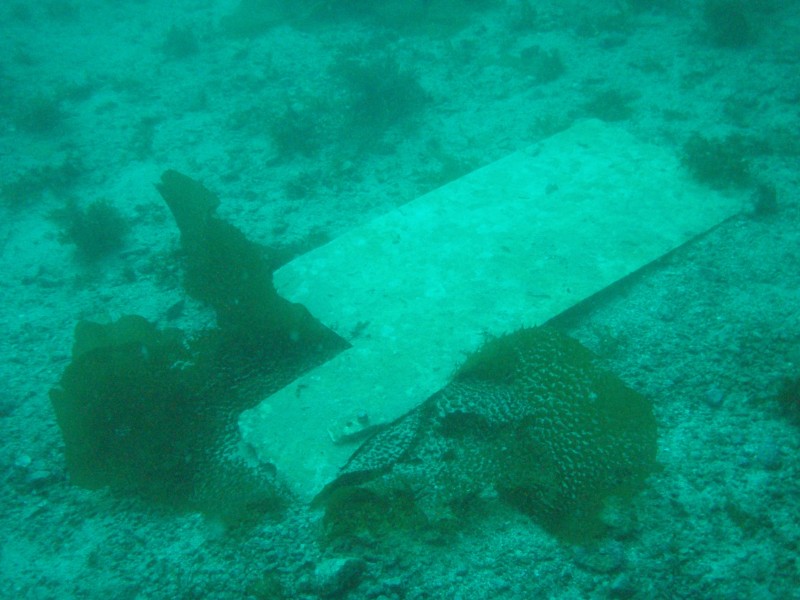 sm_p3110078.jpg
