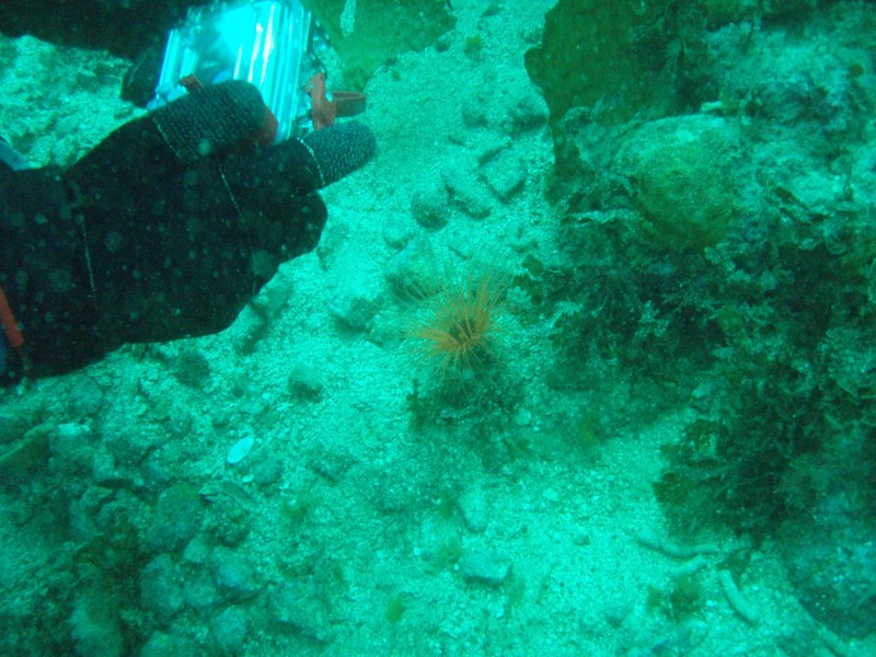 sm_p3110079.jpg