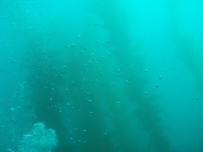 sm_p3110084.jpg