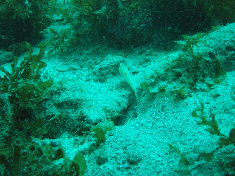 sm_p3110086.jpg