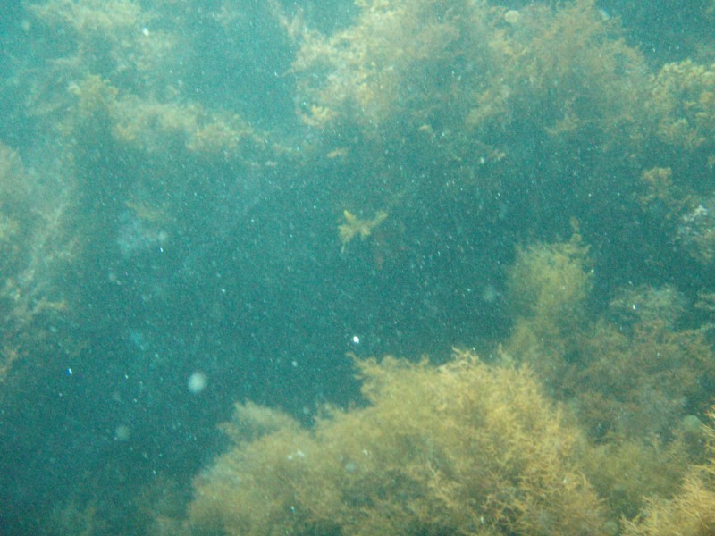 sm_p3110087.jpg