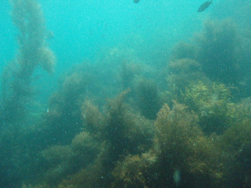 sm_p3110088.jpg