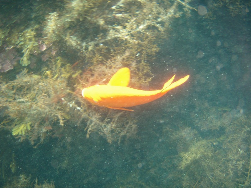 sm_p3110089.jpg