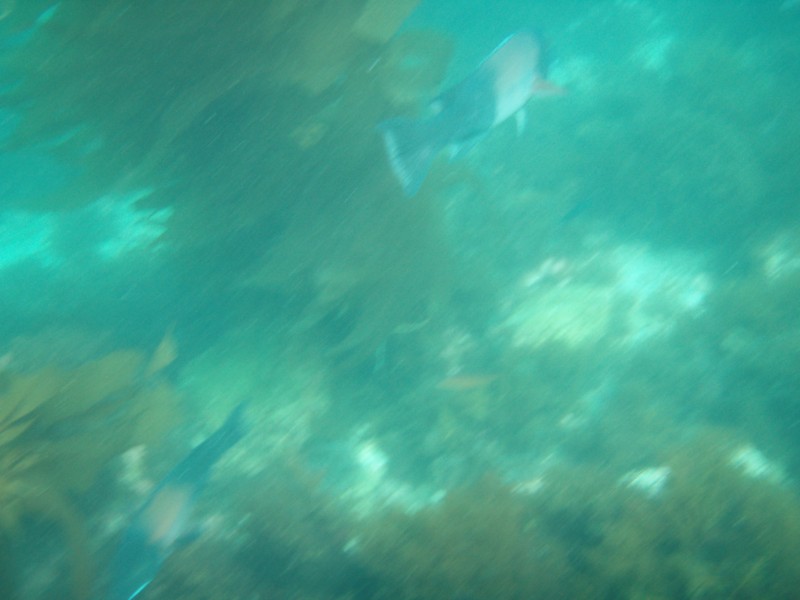 sm_p3110090.jpg