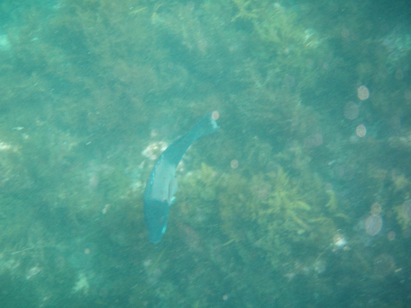sm_p3110091.jpg
