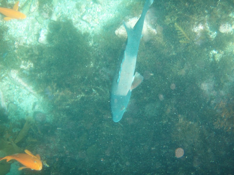 sm_p3110092.jpg
