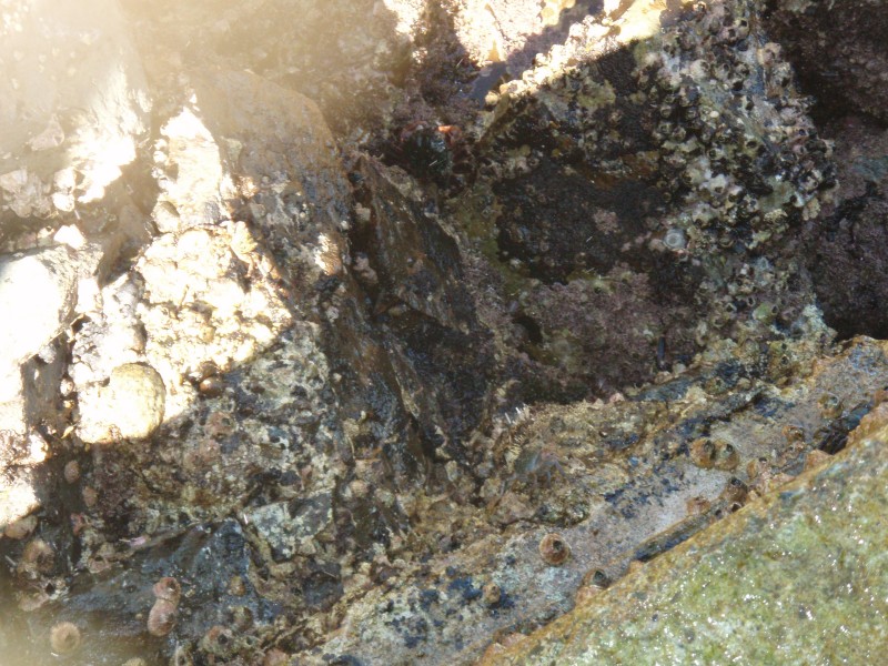 sm_p3110096.jpg