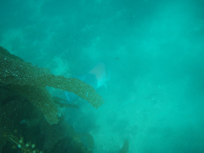 sm_p3110097.jpg