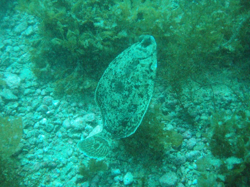 sm_p3110099.jpg