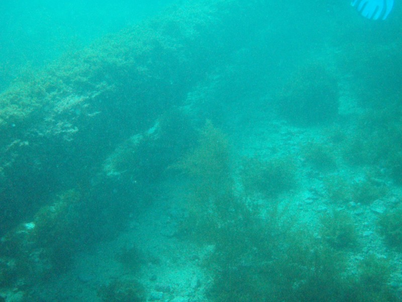sm_p3110101.jpg