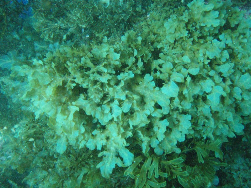 sm_p3110103.jpg