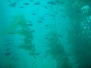 sm_p3110038.jpg