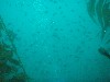 sm_p3110039.jpg