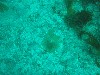 sm_p3110040.jpg